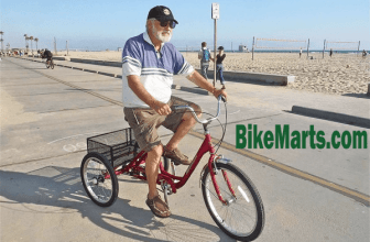 recumbent trike for seniors